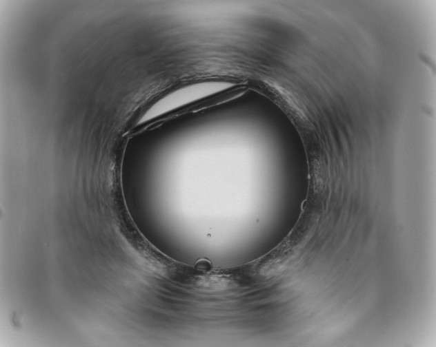 X0000096200451200802011303