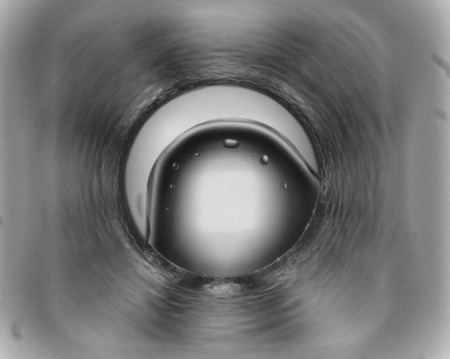 X0000096200452200802011303