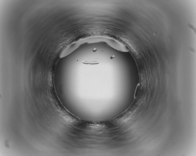 X0000096200453200802011303