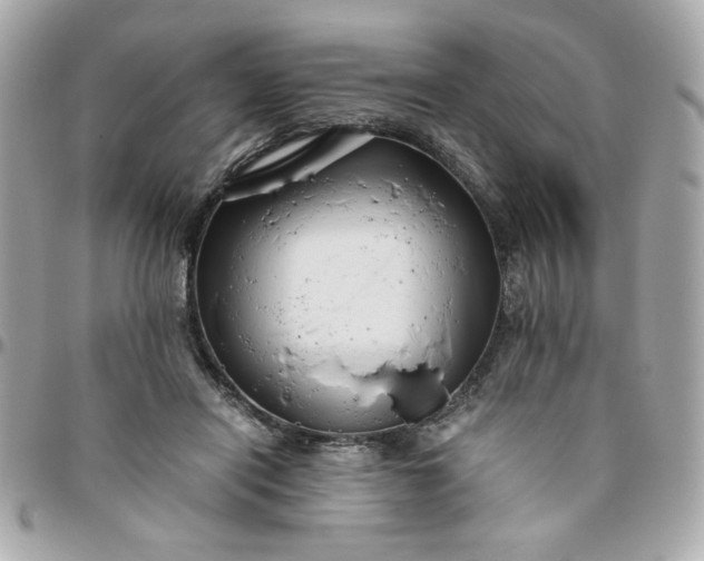 X0000096200454200802011303