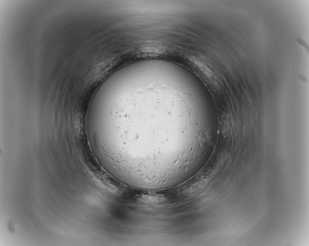 X0000096200455200802011303