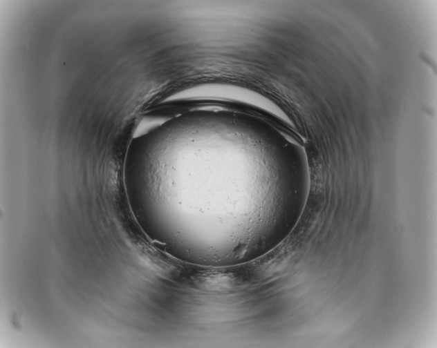 X0000096200456200802011303