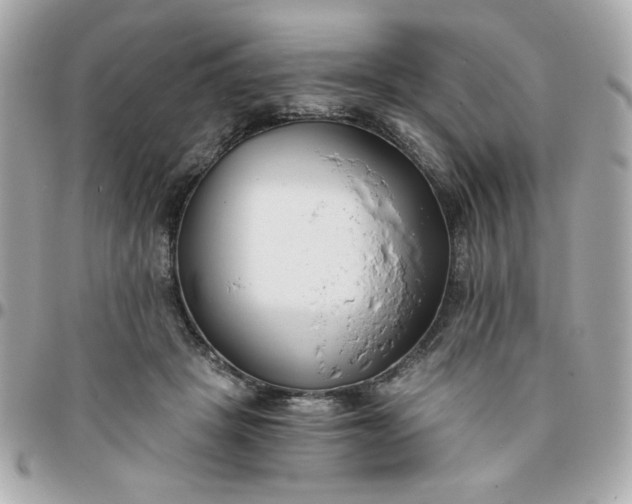 X0000096200457200802011303