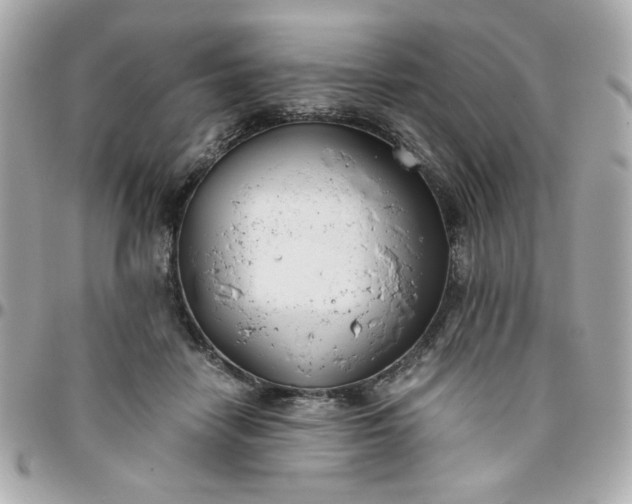 X0000096200458200802011303