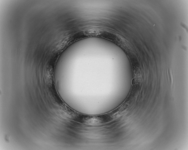 X0000096200460200802011303