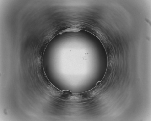 X0000096200461200802011303