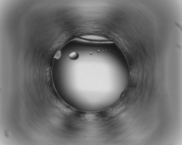 X0000096200462200802011303