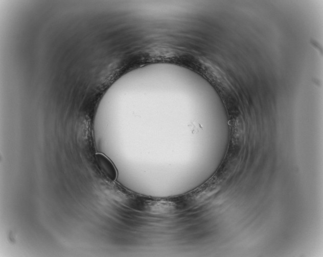 X0000096200463200802011303