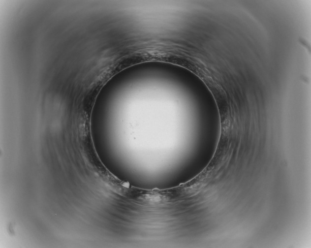 X0000096200464200802011303