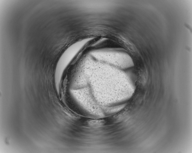 X0000096200465200802011303