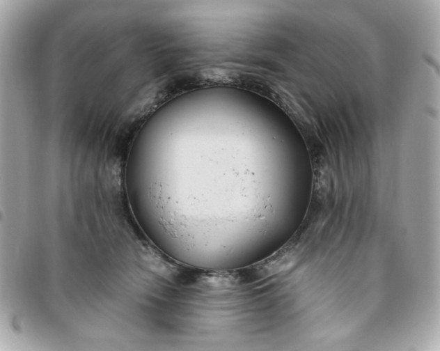 X0000096200466200802011303