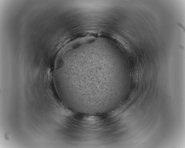 X0000096200467200802011303