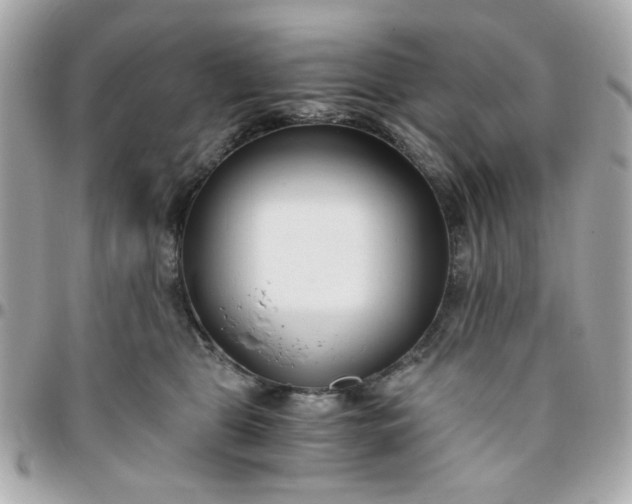 X0000096200469200802011303