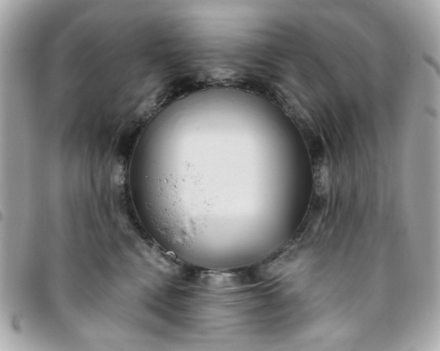 X0000096200472200802011304