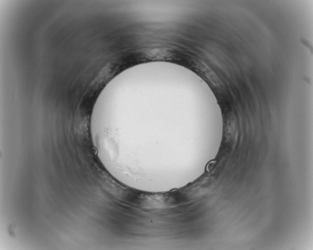 X0000096200473200802011304