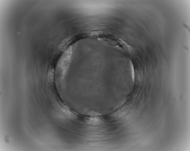 X0000096200475200802011304