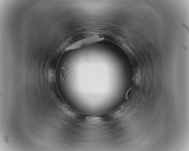 X0000096200476200802011304