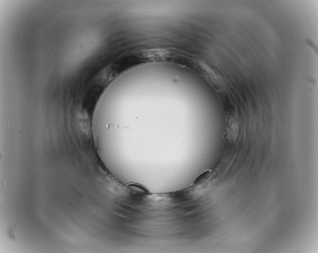 X0000096200477200802011304