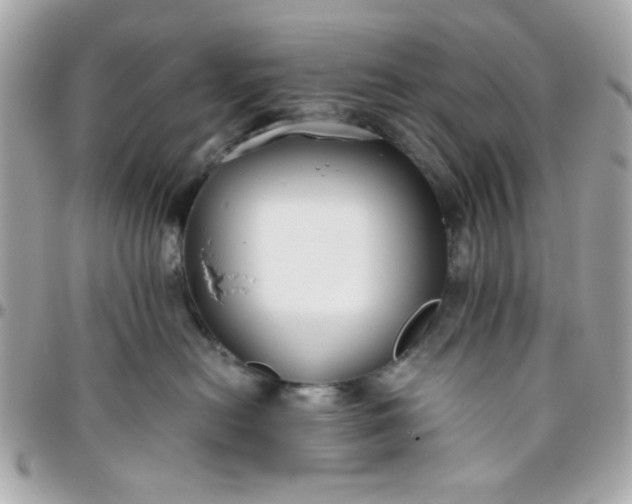 X0000096200478200802011304