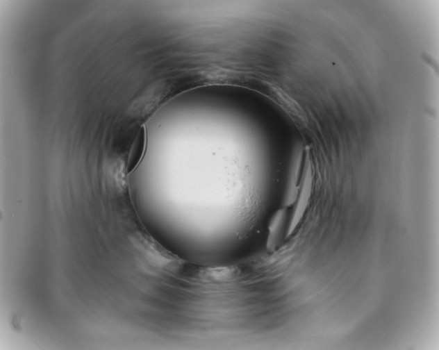 X0000096200479200802011304