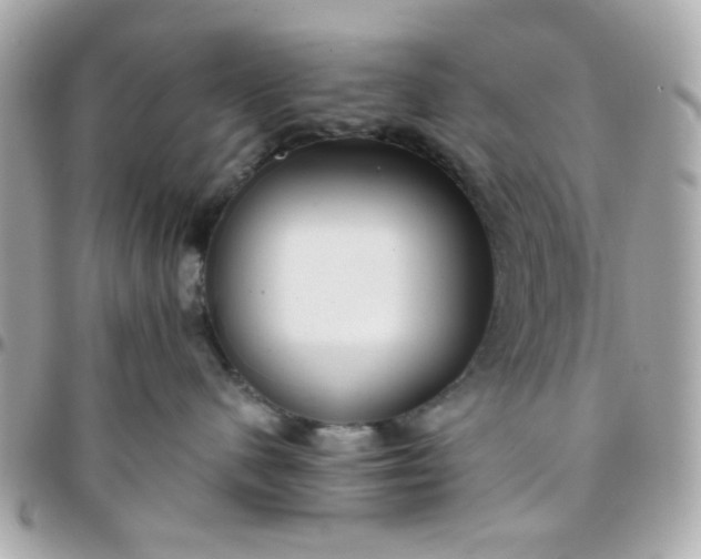 X0000096200480200802011304