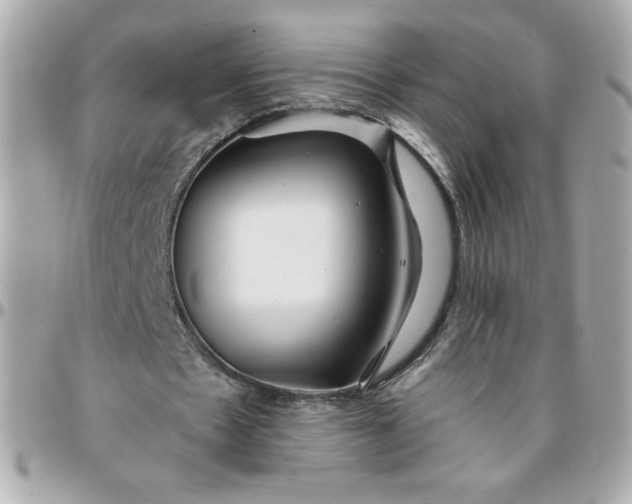 X0000096200481200802011303