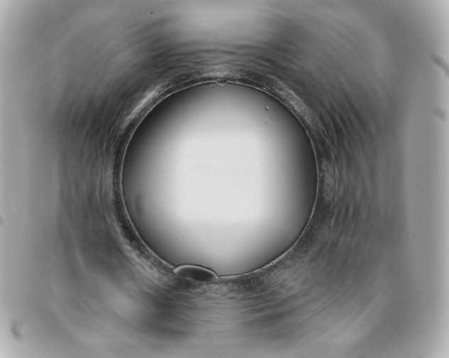 X0000096200482200802011303