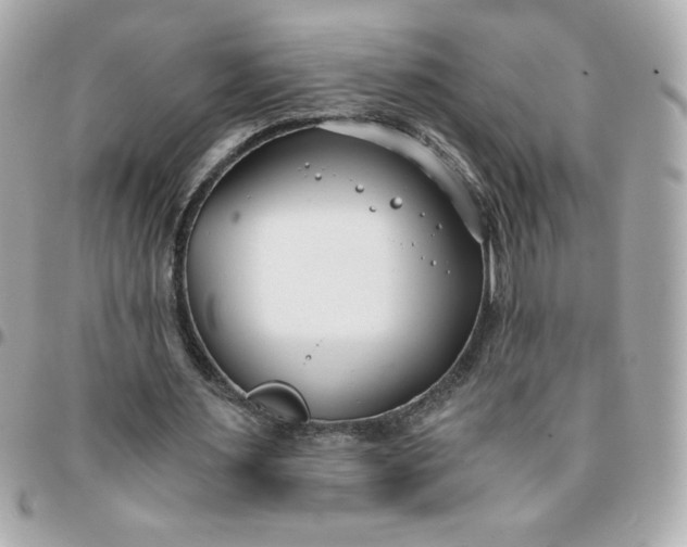 X0000096200483200802011303