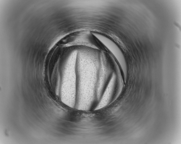 X0000096200484200802011303