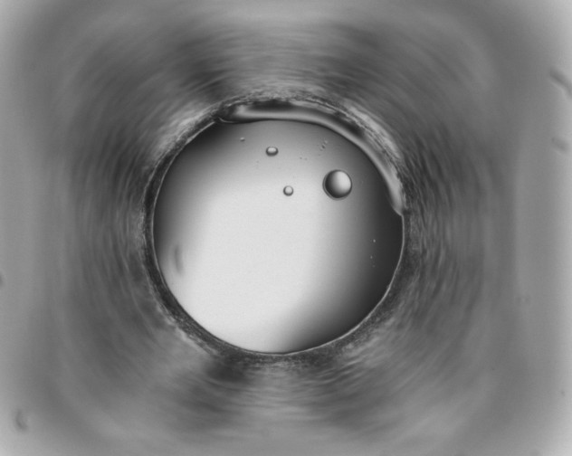 X0000096200485200802011303