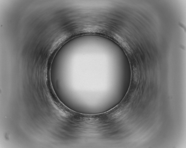 X0000096200486200802011303