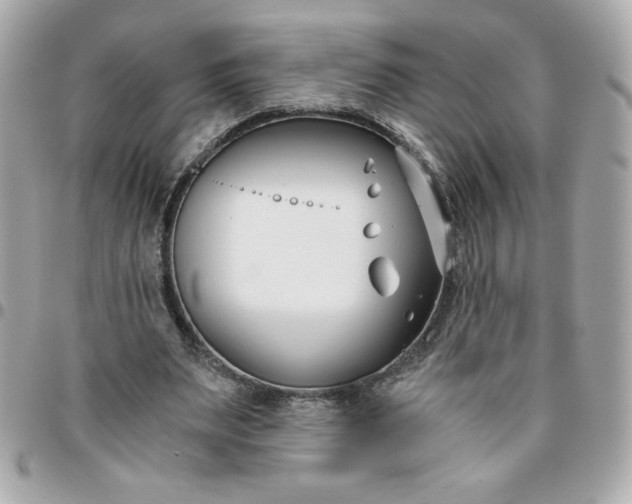 X0000096200487200802011303