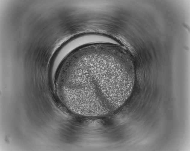 X0000096200488200802011303