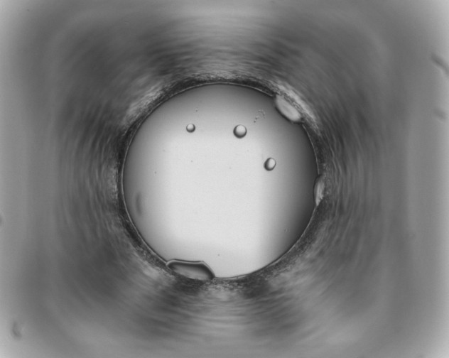 X0000096200489200802011303