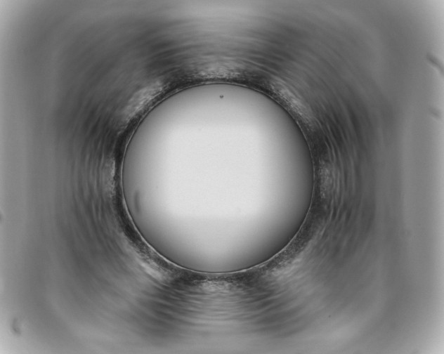 X0000096200490200802011303