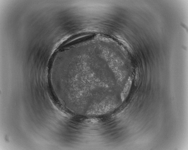 X0000096200492200802011303