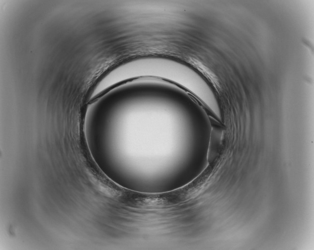 X0000096200493200802011303