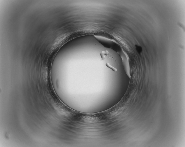 X0000096200494200802011303