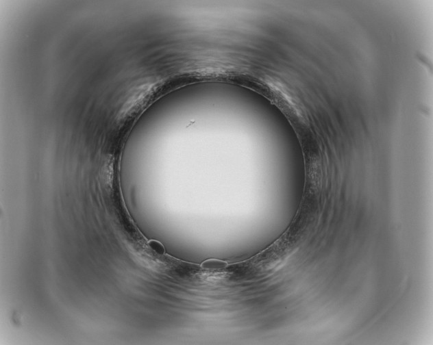 X0000096200495200802011303