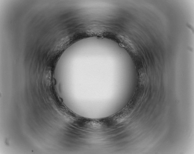 X0000096200498200802011303