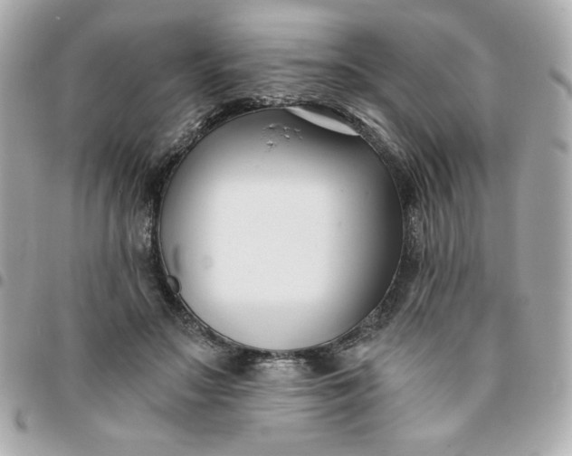 X0000096200499200802011303