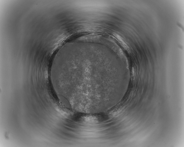 X0000096200500200802011303