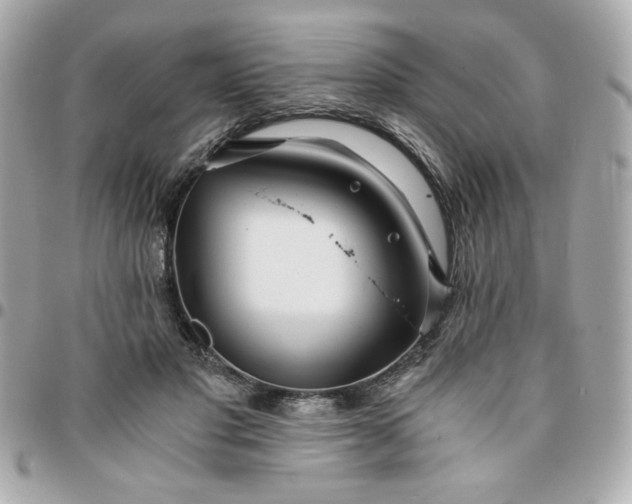 X0000096200501200802011303