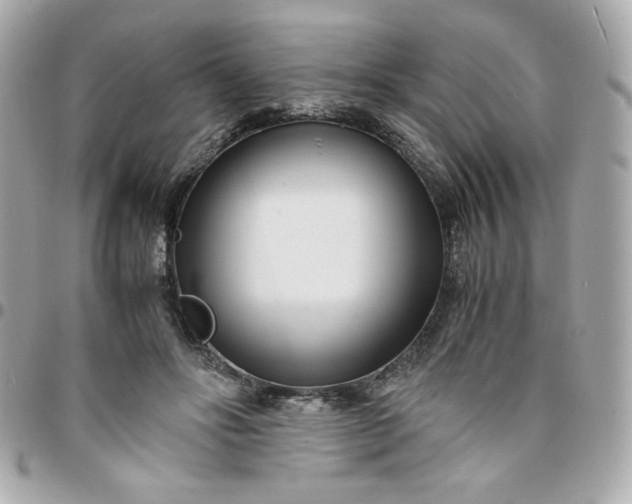 X0000096200502200802011303