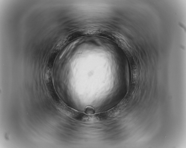 X0000096200503200802011303