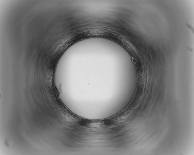 X0000096200505200802011303