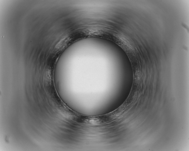 X0000096200506200802011303