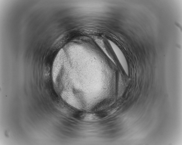 X0000096200507200802011303