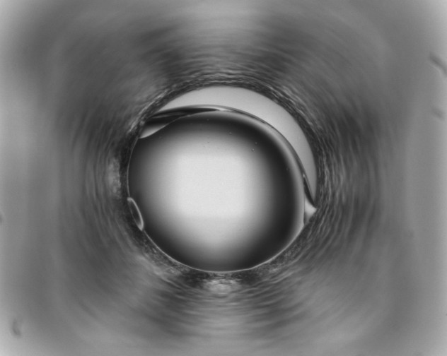 X0000096200508200802011303