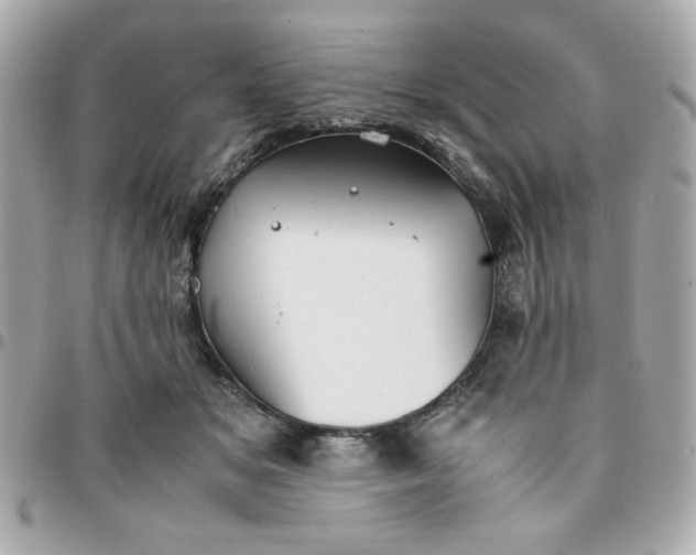 X0000096200509200802011303